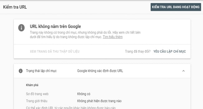 URL chưa được Google Index